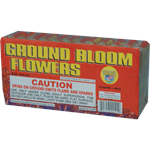 ground bloom flower
